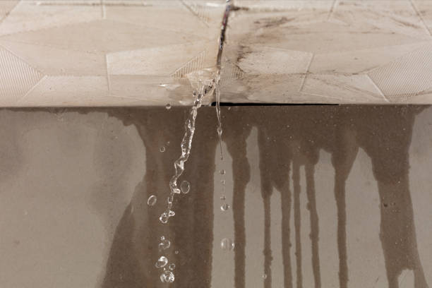 Professional Structural Drying technician working in Franklin, KY
